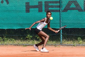 Noma Noha Akugue 435 - Holmer Open